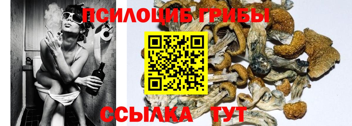 Псилоцибиновые грибы прущие грибы Липецк